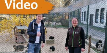 Tierschutzligadorf Neuhausen stößt an Grenzen. Bitte um Unterstützung