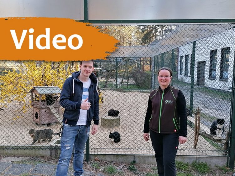 Tierschutzligadorf Neuhausen stößt an Grenzen. Bitte um Unterstützung