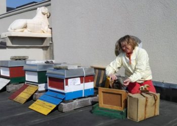 © Christian Schirmer