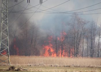 Blaulichtreporter Cottbus