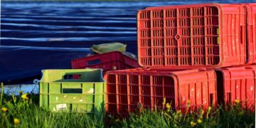 Anrechnungsfrei: Arbeit in Landwirtschaft, Gesundheits- & Lebensmittelbranche