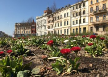 ©Stadt Cottbus/Chóśebuz
