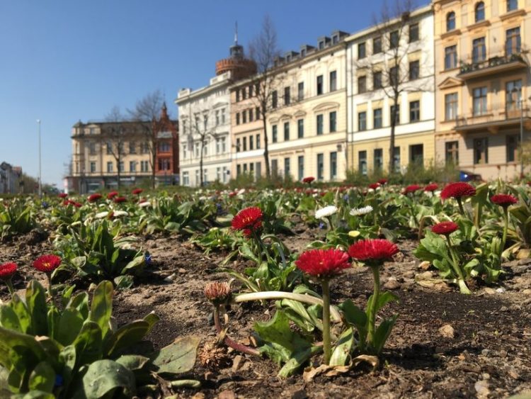 ©Stadt Cottbus/Chóśebuz