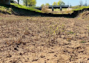 Nur 5% Niederschlag. Frühjahrstrockenheit setzen Spree und Schwarzer Elster zu