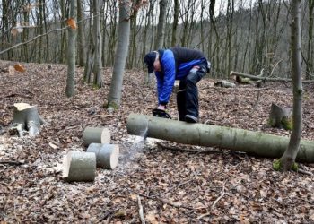 ©Hans Linde | www.pixabay.de