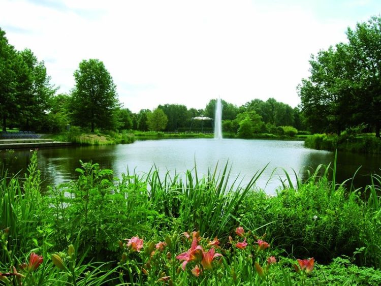 Weiher mit Fontäne im Spreeauenpark Cottbus