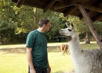 ©Tierpark Finsterwalde