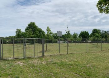 © Pressestelle Stadt Lübbenau (Spreewald)