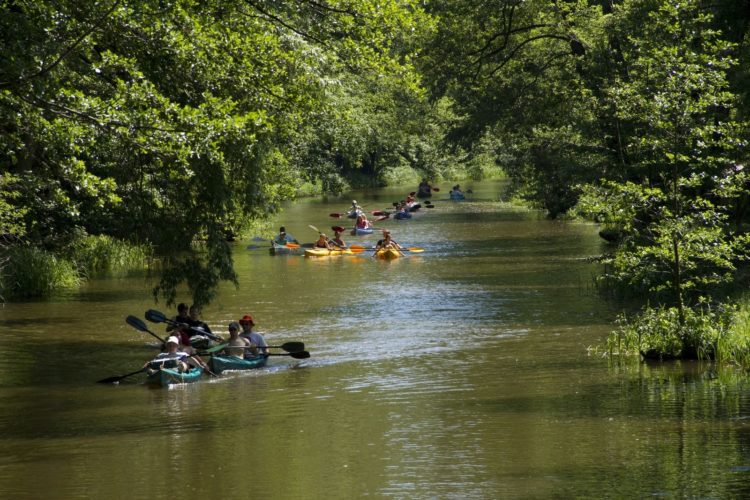 Neustart für den Tourismus im Spreewald