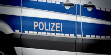 Vier Wildunfälle innerhalb weniger Stunden in Spree-Neiße