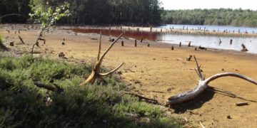 Bergbauhistorie erleben: Zur ersten Abraumförderbrücke der Welt