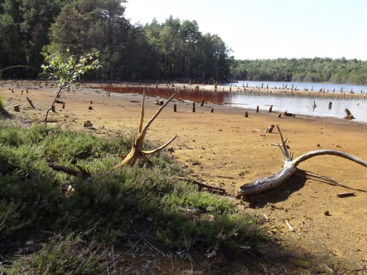 Bergbauhistorie erleben: Zur ersten Abraumförderbrücke der Welt