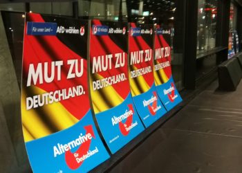 Brandenburger AfD wird Beobachtungsfall für Verfassungsschutz