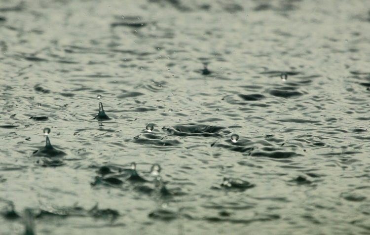 Am Wochenende: Warnung vor Starkregen in der Niederlausitz