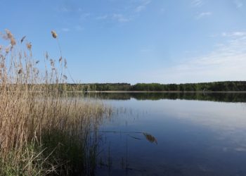 Assenmacher, Wikipedia, CC BY-SA 4.0