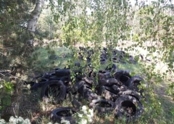 Stadt Calau /Ordnungsamt