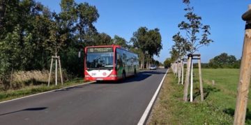 Cottbus-Bilder @UK