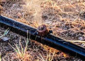 Wasserentnahme mit Pumpen aus Gewässern in Elbe-Elster ab sofort verboten