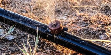 Wasserentnahme mit Pumpen aus Gewässern in Elbe-Elster ab sofort verboten