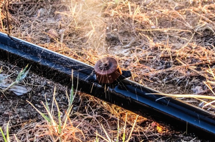 Wasserentnahme mit Pumpen aus Gewässern in Elbe-Elster ab sofort verboten