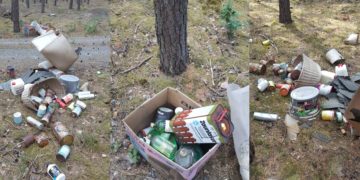 Schädliche Abfälle illegal im Wald entsorgt. Stadt Calau sucht Hinweise