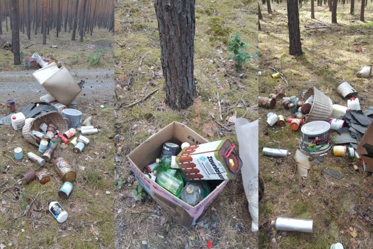 Schädliche Abfälle illegal im Wald entsorgt. Stadt Calau sucht Hinweise