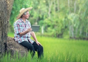 ©Sasin Tipchai I www.pixabay.de