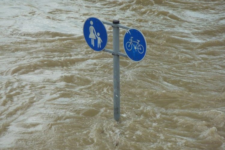 Umweltverbände sehen Hochwasserschutz der Oder in Gefahr
