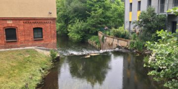 Anhaltende Tockenheit: Cottbus untersagt Wasserentnahme