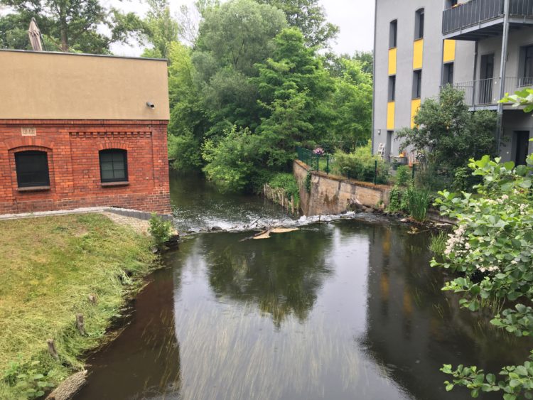 Anhaltende Tockenheit: Cottbus untersagt Wasserentnahme