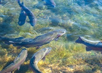 ©Katharina N. I www.pixabay.de