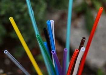 Bild von planet_fox auf Pixabay