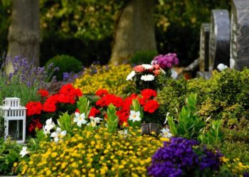 ©congerdesign I www.pixabay.de