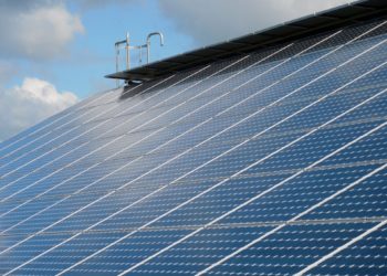 BUND will Solardachpflicht auch in Brandenburg. Ackerflächen für Landwirtschaft