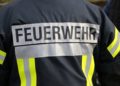Baum im Lübbener Hain in Brand gesteckt