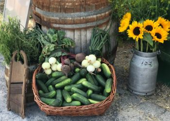 Stadt Lübbenau/Spreewald