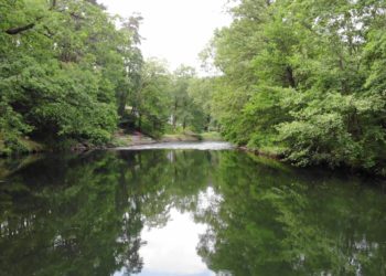Bisher 35 Sulfatüberschreitungen in der Spree. Sofortmaßnahmen könnten folgen