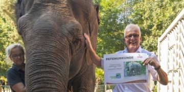 LWG übernimmt Tierpatenschaft für Cottbuser Elefant Karla