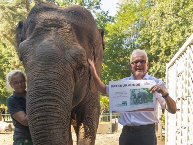 LWG übernimmt Tierpatenschaft für Cottbuser Elefant Karla