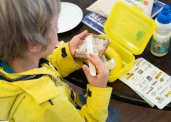 Bio-Brotbox Berlin Brandenburg 2018