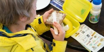 Bio-Brotbox Berlin Brandenburg 2018