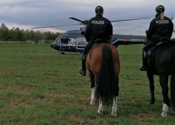 Einsatz an der deutsch-polnischen Grenze. Bundespolizei "springt" von Ort zu Ort