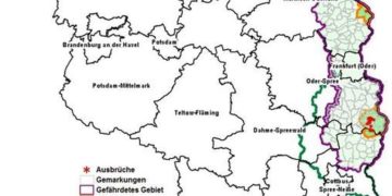Afrikanische Schweinepest: Gefährdetes Gebiet ausgeweitet