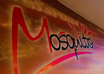 "Mosquito" am Altmarkt in Cottbus