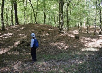 BTU Cottbus-Senftenberg