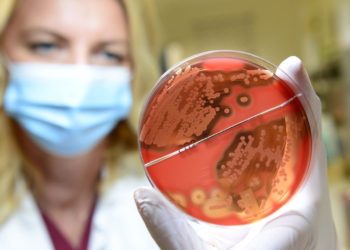 Klinikum Niederlausitz