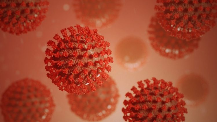Cottbus meldet 37 Coronavirus-Neuinfektionen