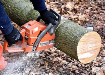 Hans Linde_pixabay.de