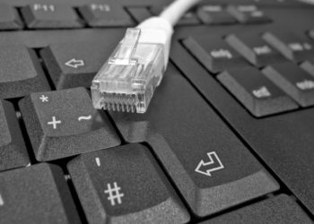 Schnelleres Internet in Spree-Neiße. Millionenförderung vom Bund