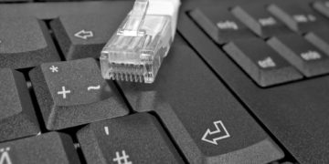 Schnelleres Internet in Spree-Neiße. Millionenförderung vom Bund